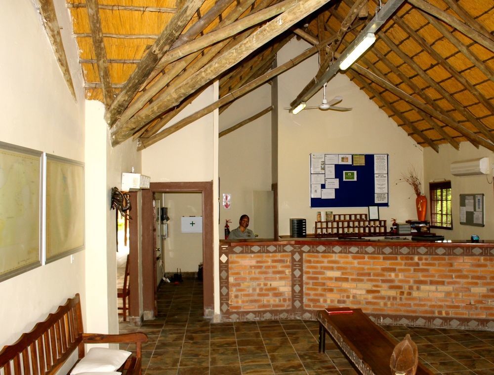 Thebe River Safaris Kasane Zewnętrze zdjęcie