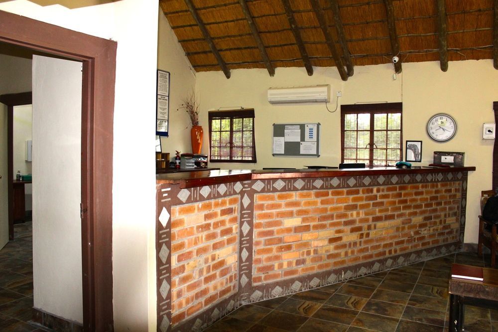 Thebe River Safaris Kasane Zewnętrze zdjęcie