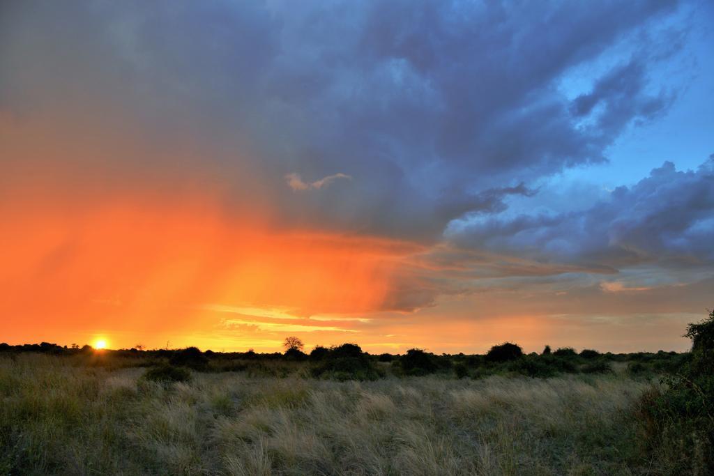 Thebe River Safaris Kasane Zewnętrze zdjęcie