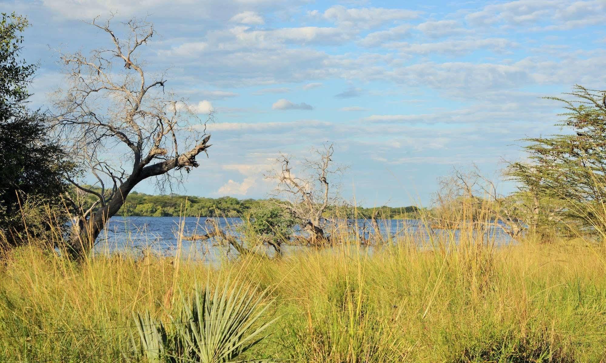 Thebe River Safaris Kasane Zewnętrze zdjęcie